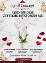 2 Dal Beyaz Orkide