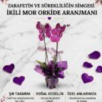 Çift Dallı Mor Orkide