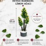 Dekoratif Yapay Limon Ağacı 100 cm